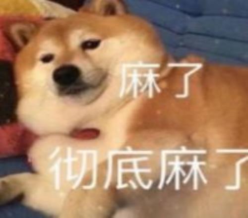 滨滨与妮妮,的亚冬寻宝,奇缘,开云365官网,开云365体育APP,KaiYun365,开云365平台