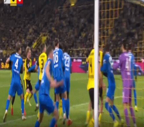 国青顶级中,锋即将加盟,广东队,开云365官网,开云365体育APP,KaiYun365,开云365平台