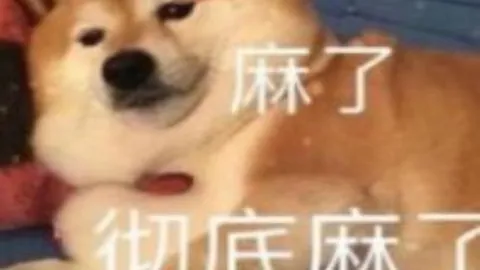 滨滨与妮妮的亚冬寻宝奇缘