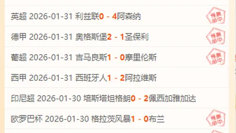 阿莫林加盟曼联，力图助力球队重振雄风